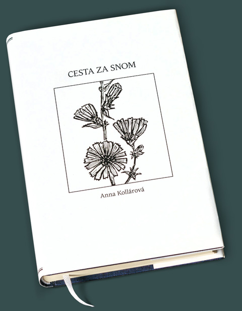 Cesta za snom - obálka
