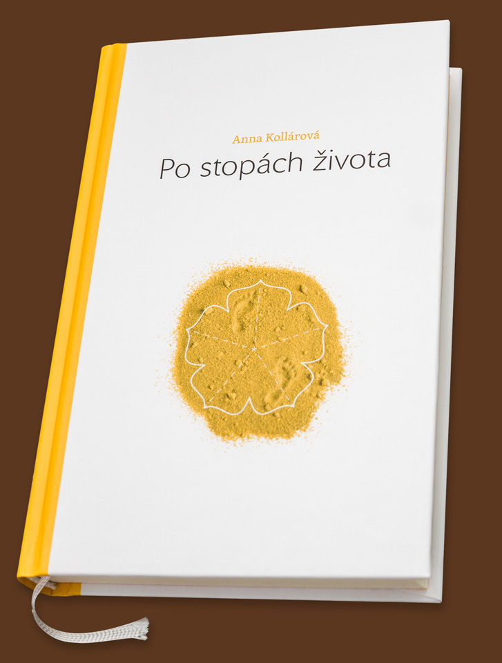Po stopách života - obálka