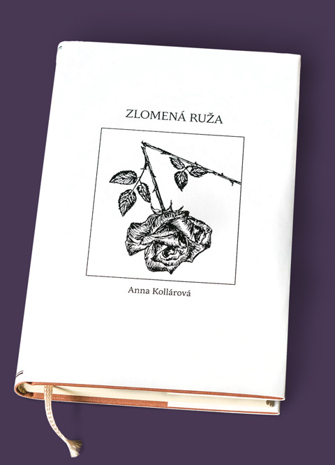 Zlomená ruža - obálka